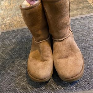 Classic Short Chestnut Uggs
